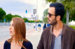 Attitude  Status For Boys  Video Status