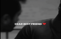 Friendship | Friendship | best friend video status
