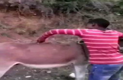 Funny | comedy video status