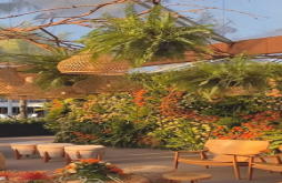 Instagram reels | Instagram reels video dawonload